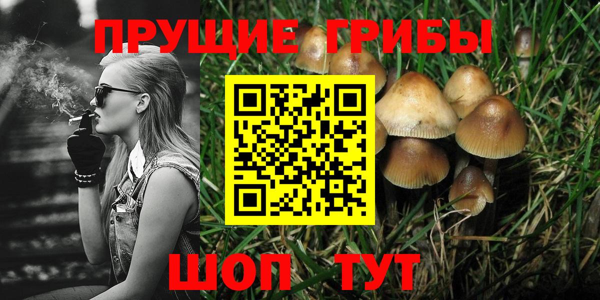 Псилоцибиновые грибы MAGIC MUSHROOMS Черногорск