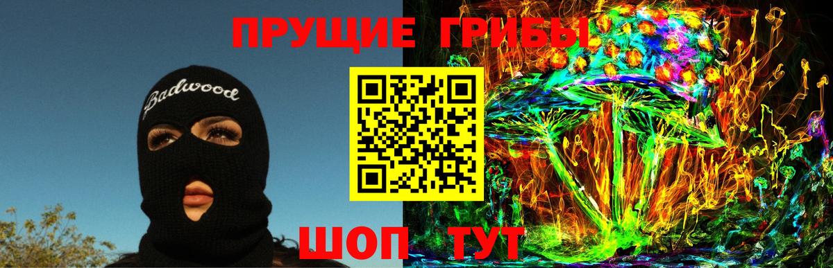 Черногорск  Псилоцибиновые грибы мицелий  Вход с VPN 