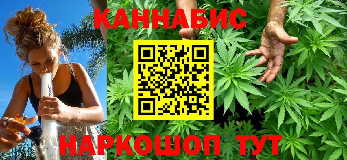 МАРИХУАНА сатива Черногорск